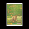 meadow mail Subscription